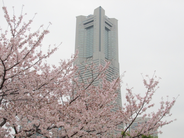 さくらとランドマークタワー