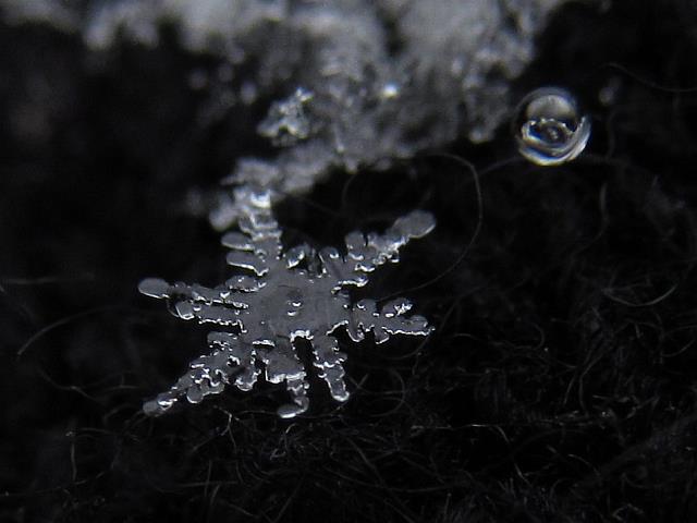 解けかけた雪の結晶2