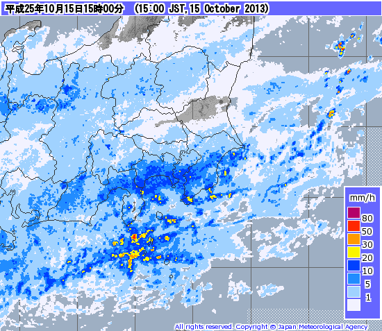 大島集中豪雨