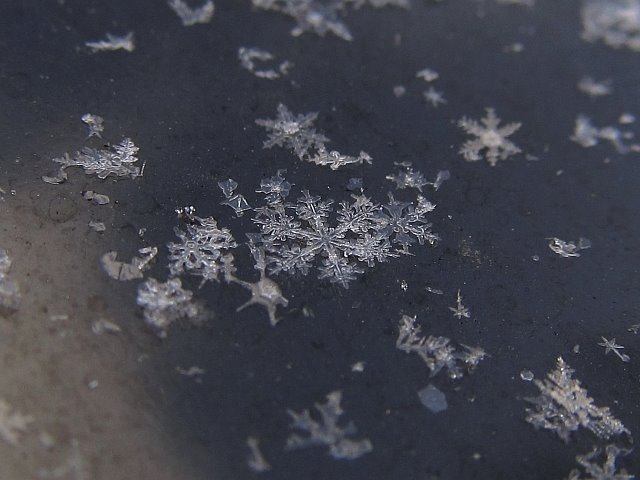 雪の結晶