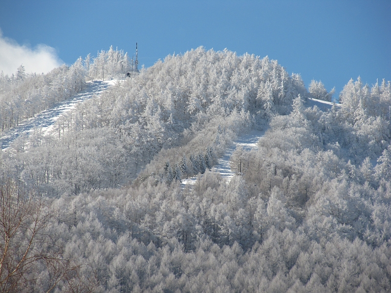 樹氷１