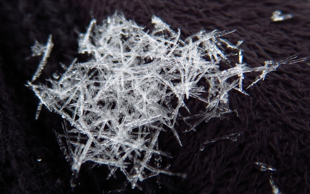筑波山に降った針状の雪結晶 筑波山に降った針状の雪結晶