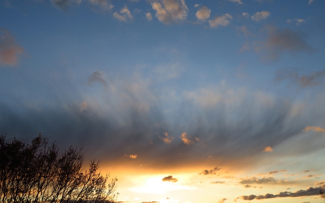 下から夕日に照らされる巻雲